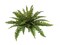 4-Pack: 28" UV-Resistant Boston Fern Plants with 27 Silk Fronds - Lifelike Greenery for Indoor & Outdoor Decor, Floral Home by Artificial Flowers